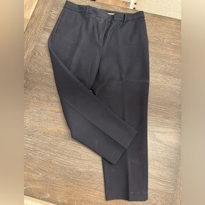 Ann Taylor 14 Curvy Navy pants
